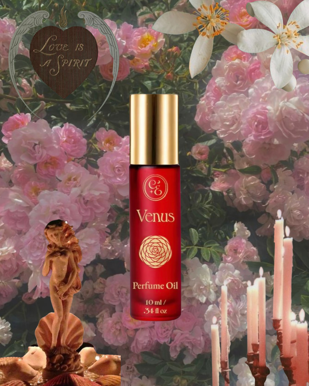 Venus Perfume