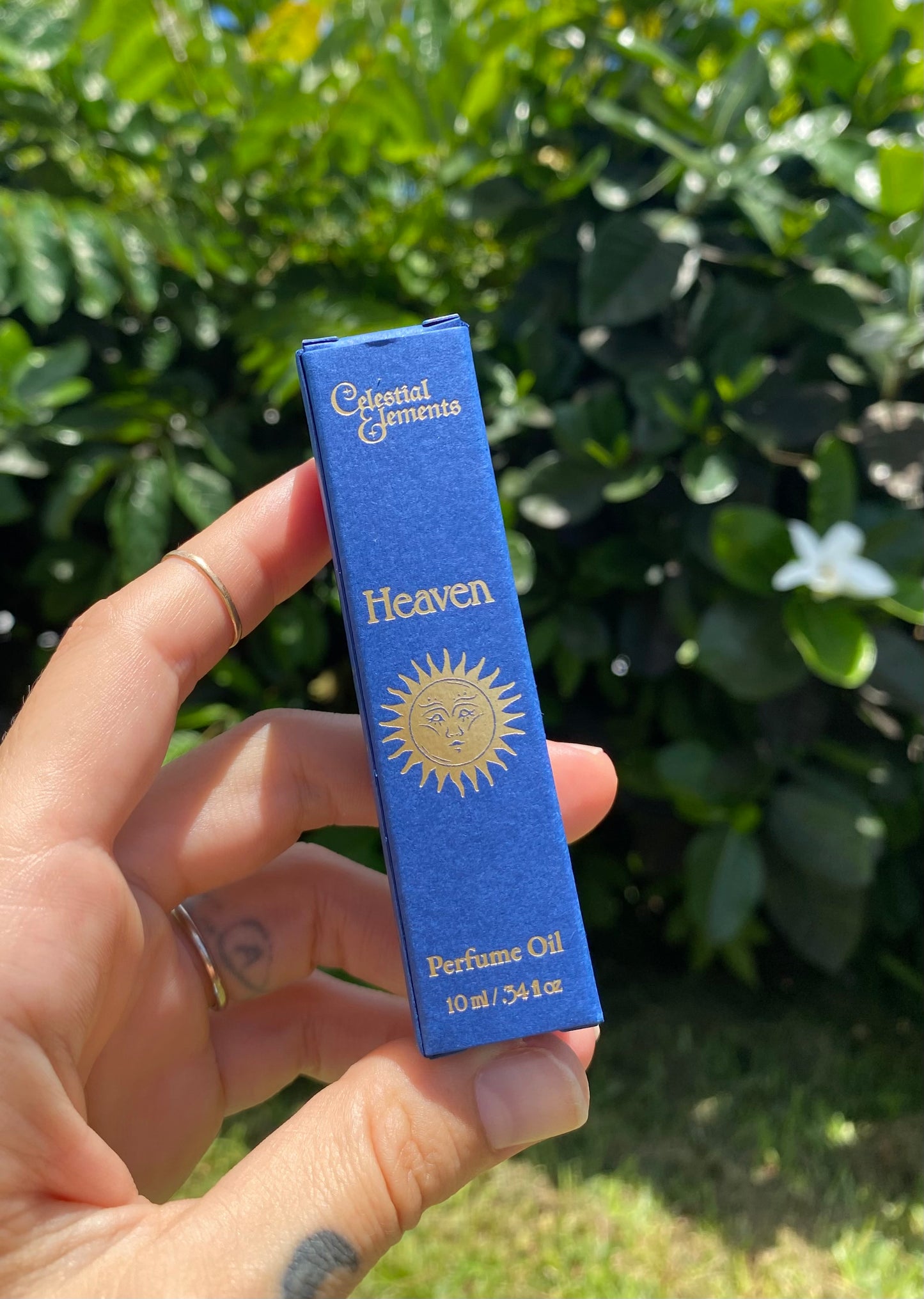 ~ HEAVEN ~ 🦋 Ancient Celestial Realm Perfume Oil